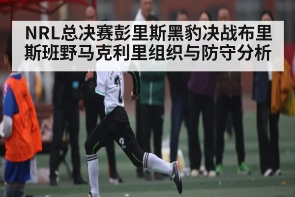 NRL总决赛彭里斯黑豹决战布里斯班野马克利里组织与防守分析